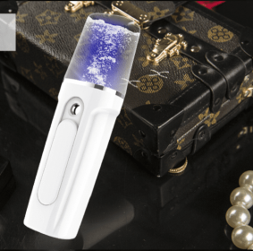 Facial Moisturizing Facial Beauty Apparatus With USB Charging Battery Bank (Option: White-Luxury)