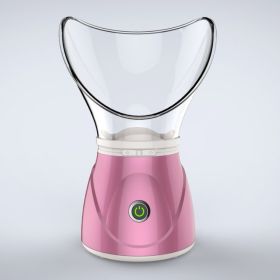 Anion facial steamer (Option: Pink 110V-CH Plug)