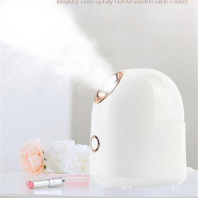 Beauty Steamer (Option: EU White)