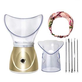 Beauty steaming face instrument (Option: Gold-US)